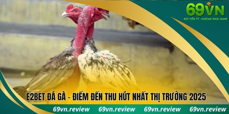 E2bet đá gà