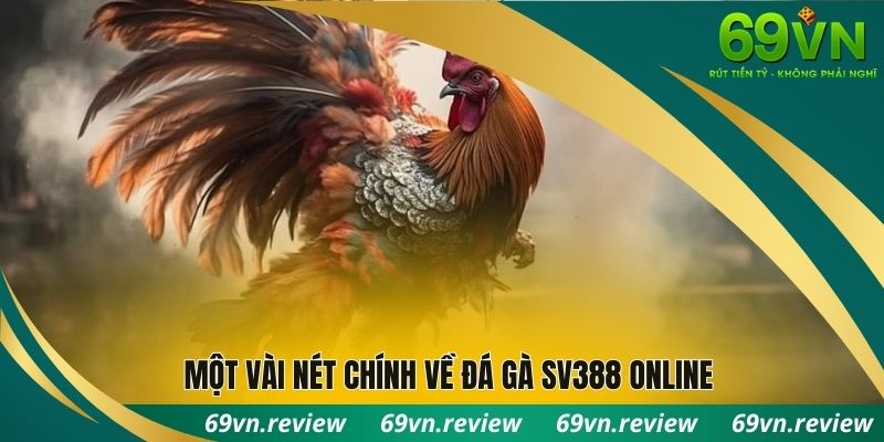 Một vài nét chính về đá gà SV388 online